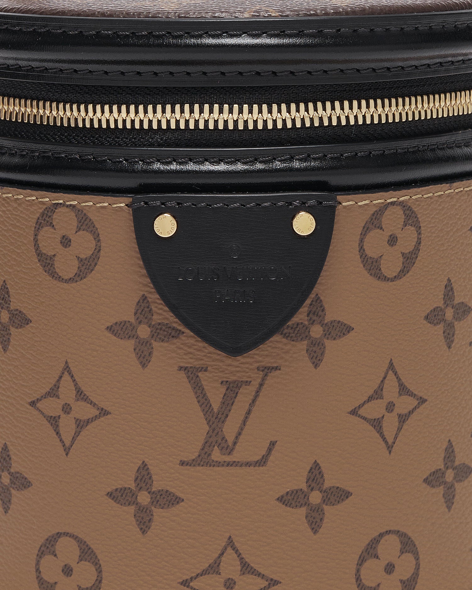 LV Cannes Monogram Lady Bucket Bag 229